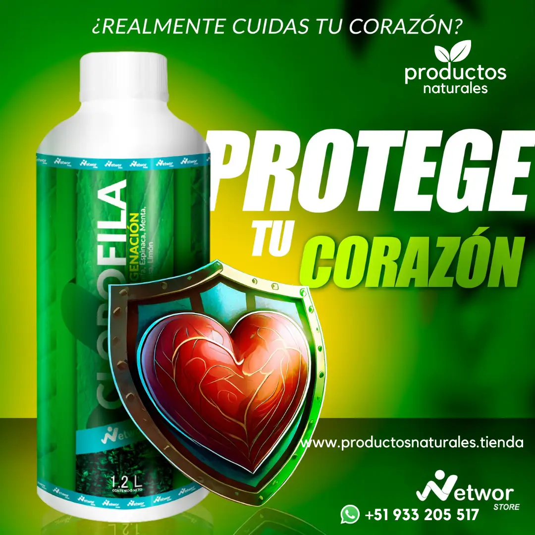 Clorofila Networ Store