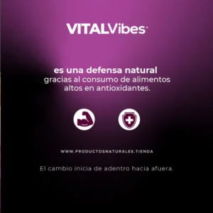 VITAL Vibes - Imagen 4